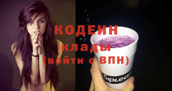 дурь Алзамай