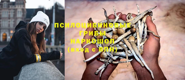 apvp Покров