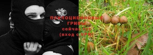 дживик Абдулино