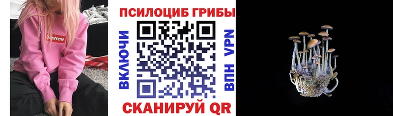 Галлюциногенные грибы ЛСД  купить наркотики сайты  Нариманов 